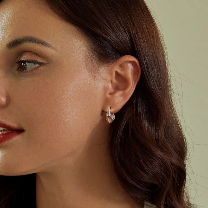 (imagem para) Brincos Geométricos Exclusivos Estilo PANDORA - SCE1704 - Visualizar 6