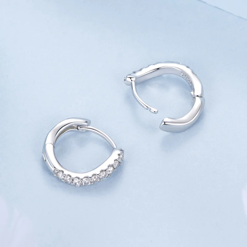 (imagem para) Brincos Ondulados Estilo PANDORA - BSE959 - Visualizar 4