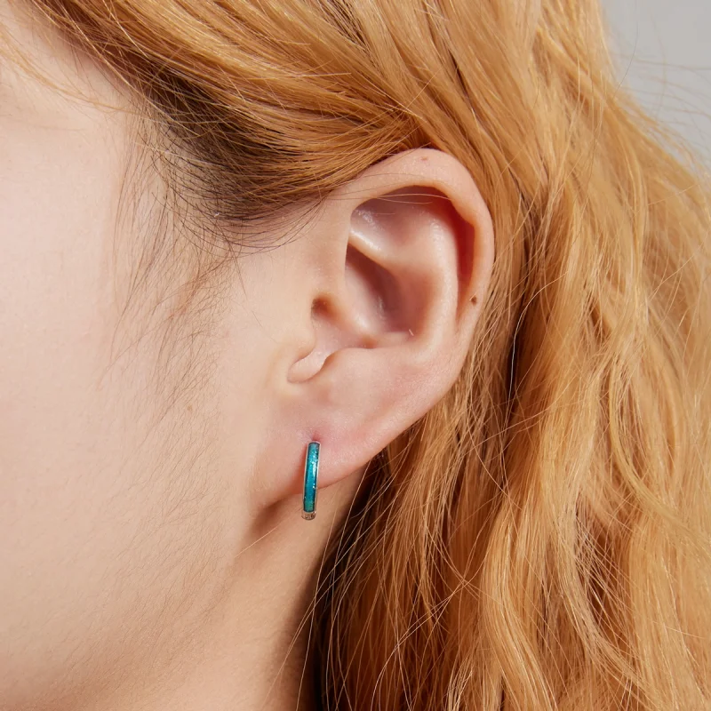 (imagem para) Brincos Simples Estilo PANDORA - BSE603 - Visualizar 6