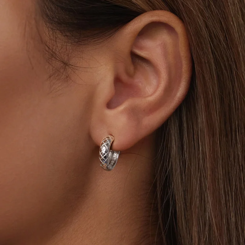 (imagem para) Brincos com Padrão de Diamante Estilo PANDORA - BSE983 - Visualizar 5