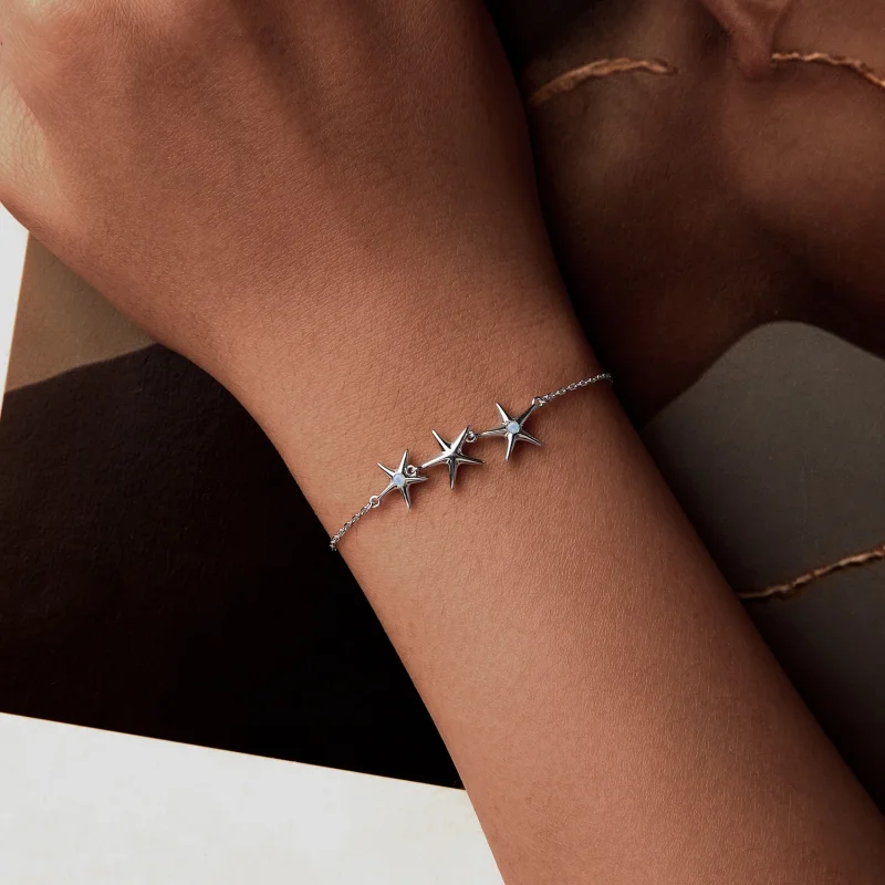 (imagem para) Bracelete Estrela-do-mar Estilo PANDORA - SCB275 - Visualizar 5