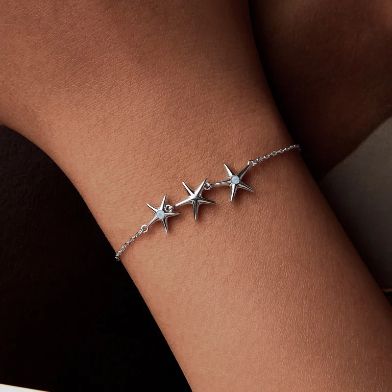 (imagem para) Bracelete Estrela-do-mar Estilo PANDORA - SCB275 - Visualizar 8