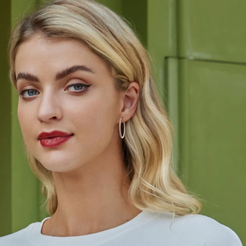 (imagem para) Brincos Brilhantes Estilo PANDORA - BSE1023-L - Visualizar 7