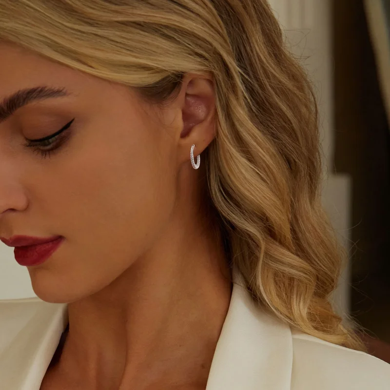 (imagem para) Brincos Brilhantes Estilo PANDORA - BSE1023 - Visualizar 7