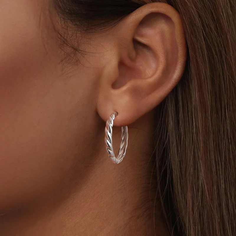 (imagem para) Brincos de torção metálica estilo PANDORA - BSE1024-L - Visualizar 6