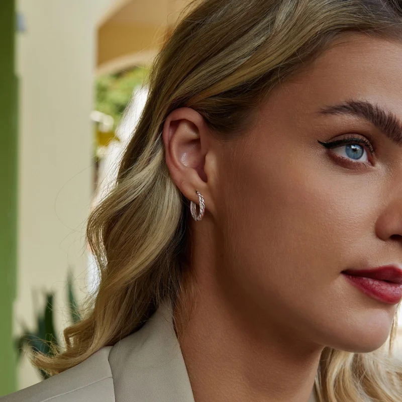 (imagem para) Brincos de torção metálica estilo PANDORA - BSE1024-M - Visualizar 7