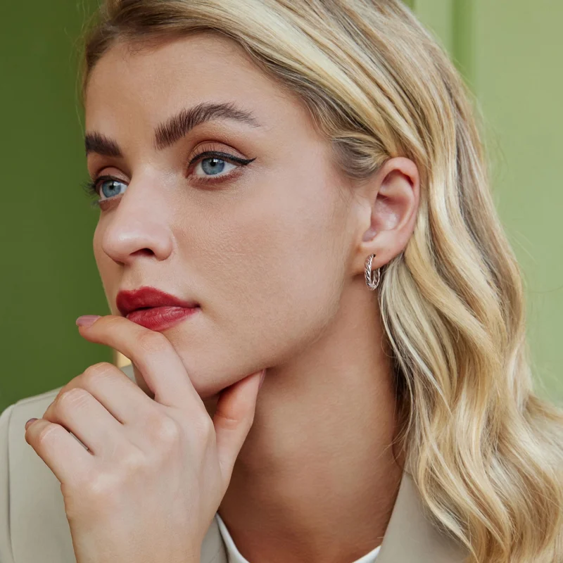 (imagem para) Brincos de torção metálica estilo PANDORA - BSE1024-M - Visualizar 8