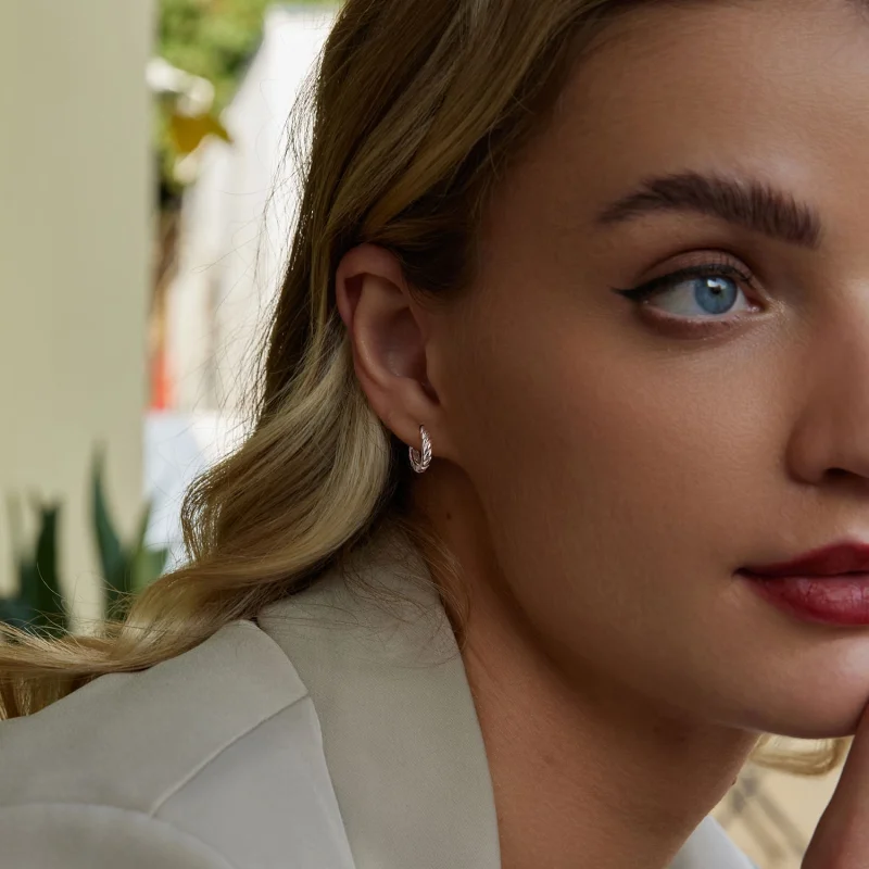 (imagem para) Brincos de torção metálica estilo PANDORA - BSE1024-S - Visualizar 7