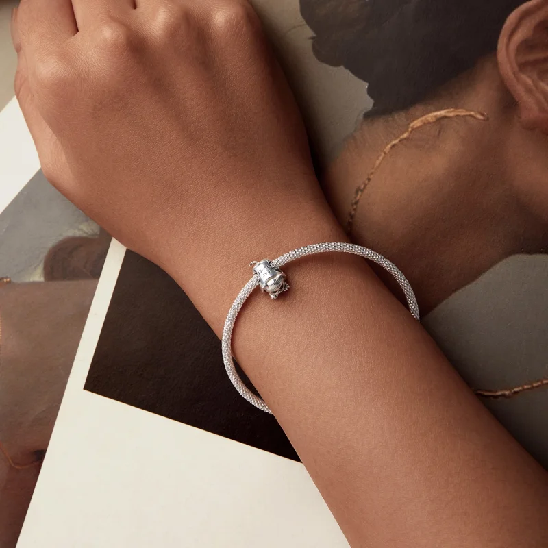 (imagem para) Charm Casa Aconchegante para Gatos PANDORA Style - SCC2797 - Visualizar 6