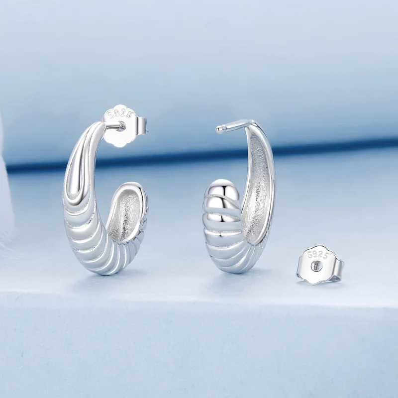 (imagem para) Brincos PANDORA Estilo Textura de Temperamento - BSE1058 - Visualizar 2