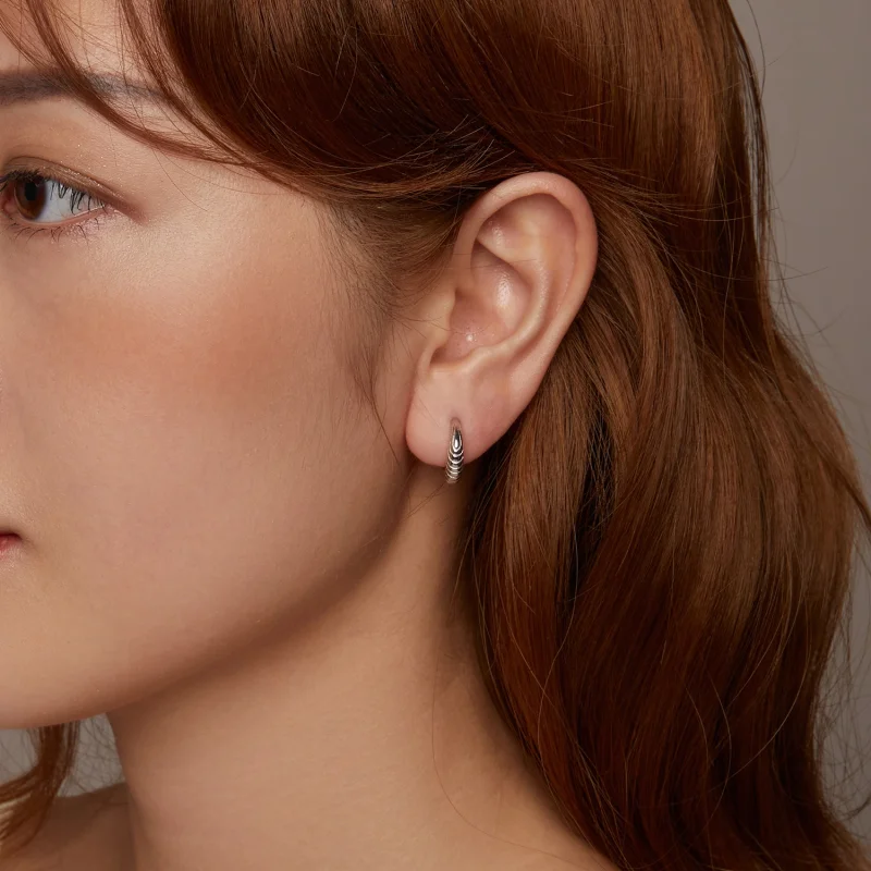 (imagem para) Brincos PANDORA Estilo Textura de Temperamento - BSE1058 - Visualizar 9