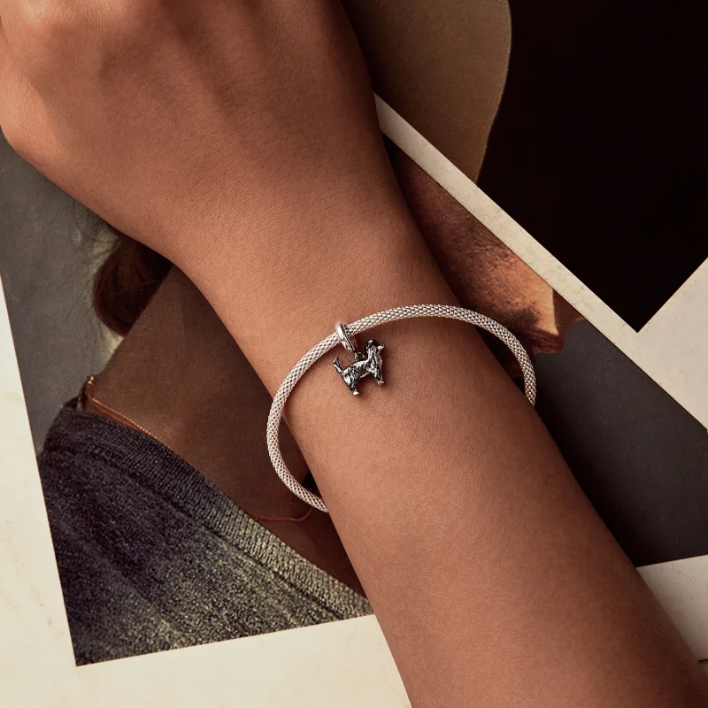 (imagem para) Pingente Border Collie Estilo PANDORA - SCC2836 - Visualizar 5