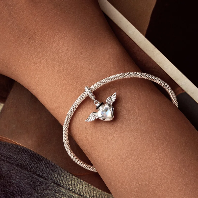 (imagem para) Urna Memorial para Pets em Estilo PANDORA - Pingente BSC1036 - Visualizar 6