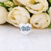 Charm berloques Pandora de prata Amor Dia Branco