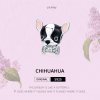 Charm Chihuahua life Pandora - SCC1310