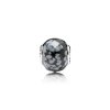 Charm ESSENCE COLLECTION Belief Pandora - 796045SFO