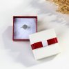 Pulseira Caixa de anel e joias estilo Pandora - PK001