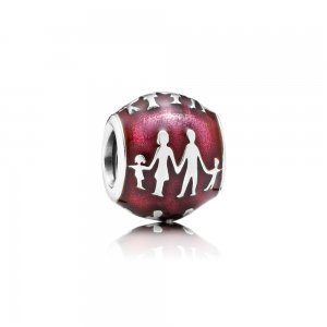 Charm berloques PANDORA Laços de Família - 791399EN62