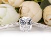 Charm Coruja Misteriosa - 798397NBCB