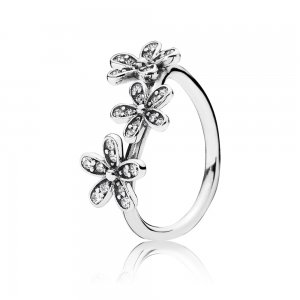 Anel PANDORA Jardim de Bem-me-Quer - 190933CZ