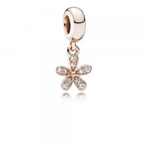 Charm PANDORA ROSE Pendente Bem-me-Quer - 781491CZ Charm PANDORA ROSE Pendente Bem-me-Quer - 781491CZ