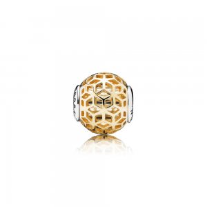 Charm Intuição Pandora Shine - 796049