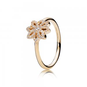 Anel PANDORA de Ouro Luz da Flor - 150182CZ Anel PANDORA de Ouro Luz da Flor - 150182CZ