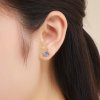 Brincos Petit Caranguejo Fofinho estilo Pandora - SCE413