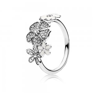 Anel PANDORA Buquê da Primavera - 190984CZ Anel PANDORA Buquê da Primavera - 190984CZ