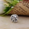 Charm PANDORA Vazado Eterno Amor de Família - 791525CZ
