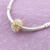 Charm PANDORA de Prata Vazado Brilho Floral - 791260CZ