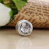 Charm berloques PANDORA Natureza Exuberante - 797047CZ