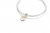 Charm Pendente Coracao Com Arvore Da Familia Em Dois Tons Pandora - 799366C00