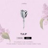 Charm Tulipa life Pandora - SCC1514