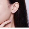 Brincos Petit Pluma life Pandora - SCE610