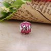 Charm berloques PANDORA Laços de Família - 791399EN62