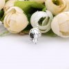 Charm Pippo, O Porquinho Voador - 798253