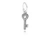 Pendente PANDORA Símbolo da Conquista - 791353CZ