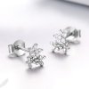 Brincos Petit Gypsophila estilo Pandora - BSE030
