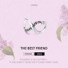 Charm Melhores amigas para sempre estilo Pandora - SCC1344