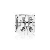 Charm Pandora Reflexions Presente Especial