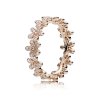 Anel PANDORA ROSE Delicadas Bem-me-Quer - 180934CZ