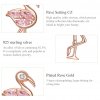 Brincos Petit Flamingos estilo Pandora Rose - BSE120