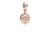 Charm PANDORA ESSENCE ROSE™ Origens Familiares - 787646