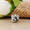 Charm berloques Pandora de prata Família