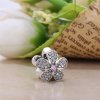 Charm PANDORA Brilhante Bem-me-Quer - 791480CZ