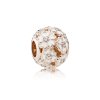 Charm PANDORA ROSE Esmaltado Flores do Campo - 781488EN12