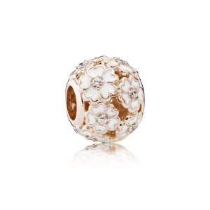 Charm PANDORA ROSE Esmaltado Flores do Campo - 781488EN12