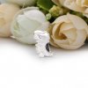 Charm Dino, O Dinossauro - 798123