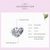 Charm Girl Power Sweet 16 estilo Pandora - SCC1437